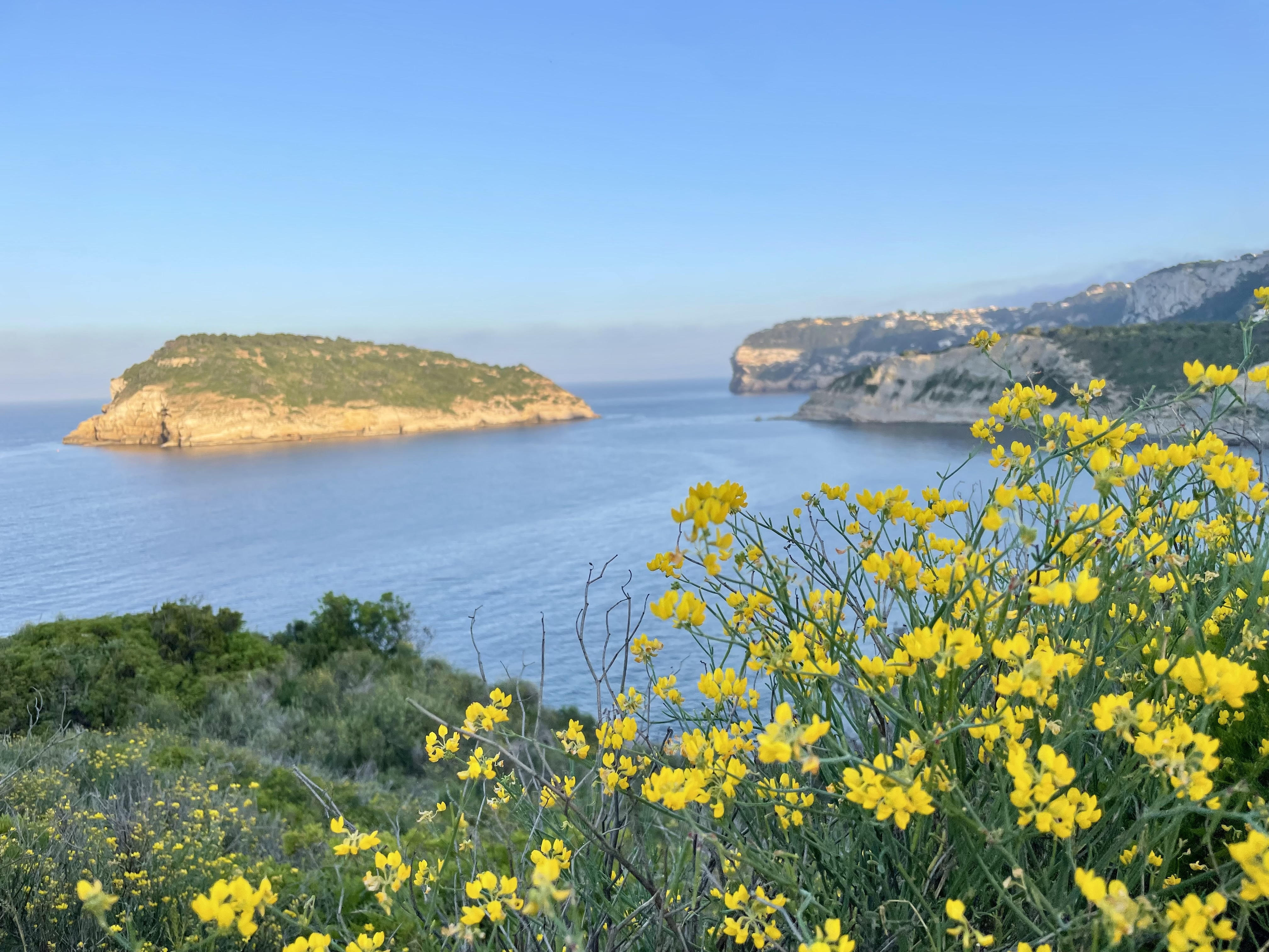 Javea Portixol